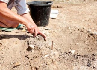 Археологи в центре Израиля обнаружили красочную мозаику возрастом 1600 лет